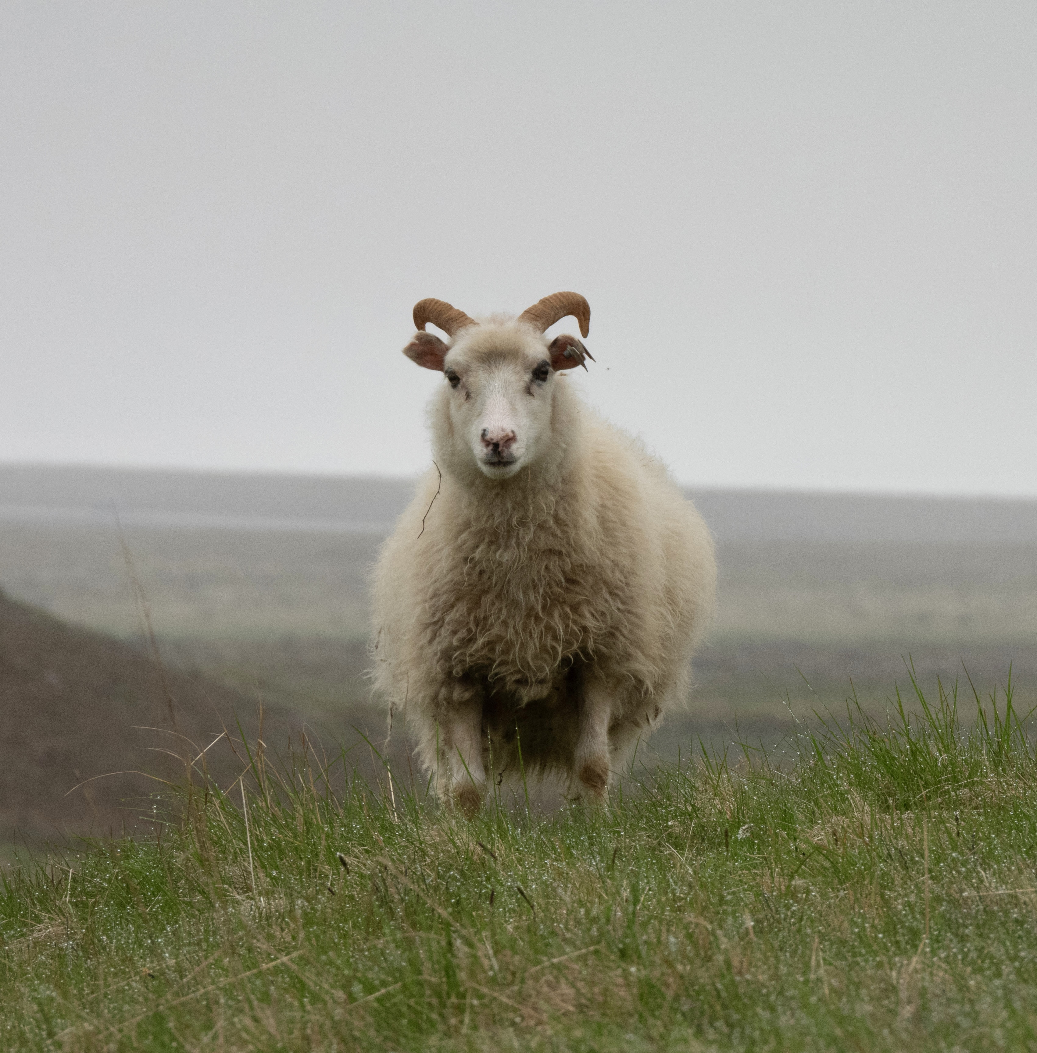 60-F38D36E4-C49D-41FE-ABEE-AC2F7C62E9A6